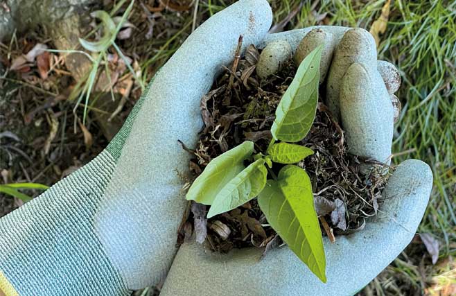 Digitx sustainability